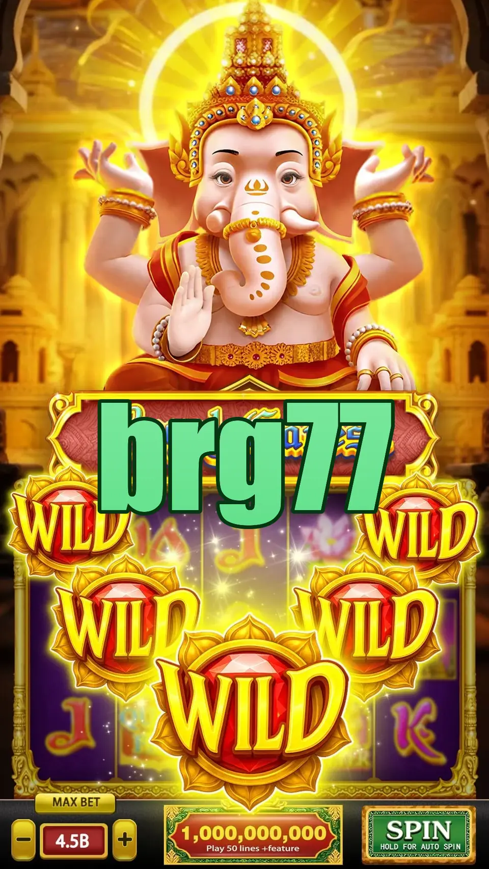 brg77 Login
